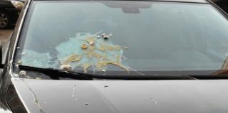 Не 90-е, но все же: в Гродно женщина разбила яйца об автомобиль и оставила записку с угрозами. Что еще произошло в городе за ночь?