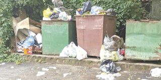 Что беспокоит жителей Берегового? Все началось с мусора – закончилось дорогами