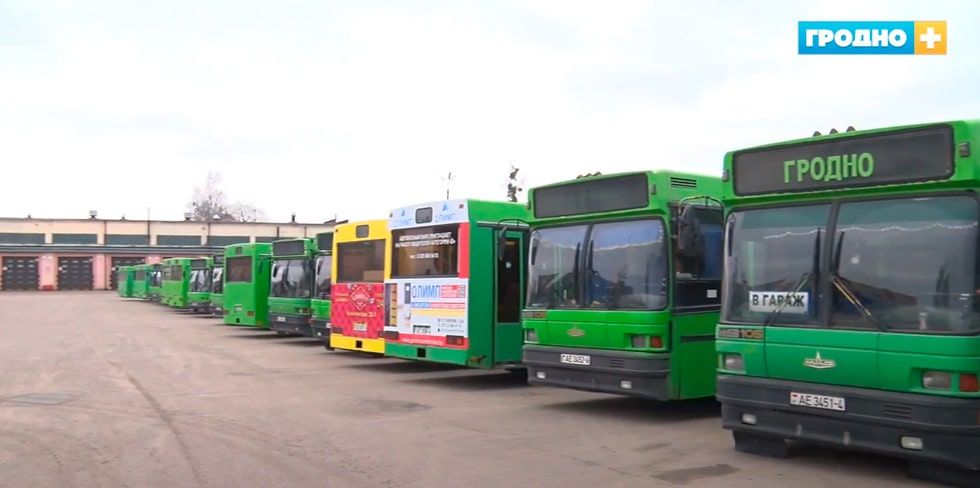 Почти 3 000 рублей зарабатывает водитель "Автобусного парка Гродно". Есть 60 вакансий