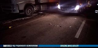 Видео: в очереди на границе фура сбила иностранца. Он решился прогуляться по дороге без фликеров