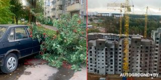 Развернул башенный кран в Гродно, вырывал деревья, срывал билборды – последствия сильного ветра в Гродненской области