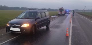 Свернул влево и погиб. Утром в Гродненском районе сбили велосипедиста