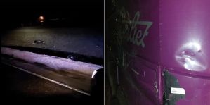 Вынесен приговор водителю фуры, который насмерть сбил велосипедиста и оставил его в поле