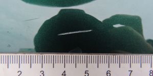 Владелец Mini Cooper утверждал, что ребенок на самокате поцарапал его авто, мать ребенка была не согласна. Что решил суд