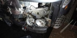 2 лося плюс фура = минус 2 лося плюс ремонт 3 авто. Такая вот математика. Хорошо, что люди живы