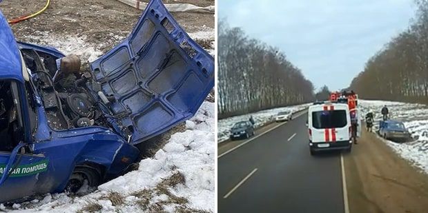 Автомобиль "ветеринарной помощи" попал в ДТП под Дятлово. Водитель и пассажирка – в реанимации