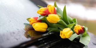 Каждой женщине – цветы! Автомобилистов Гродно приглашают поддержать благотворительную акцию к 8 Марта