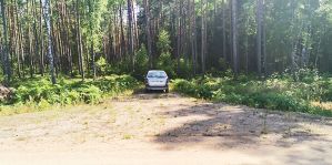 В Минлесхозе рассказали, можно ли ездить на рыбалку через лес во время запрета