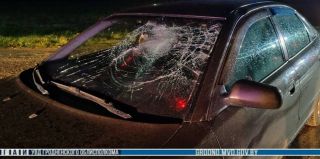 Под колесами AUDI погиб пешеход. Они с водителем не увидели друг друга из-за проезжавшего большегруза