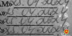 Белорус продлил на 5 лет медсправку, хотя она и так была непросроченной. Зачем?