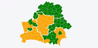 Ограничения на посещение лесов ввели в 56 районах Беларуси. Гродненский тоже в списках