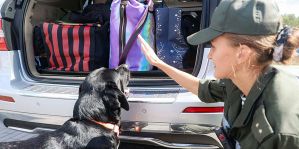 ТОП-3 товаров из-за границы, которые везут белорусы. Информация Белстата