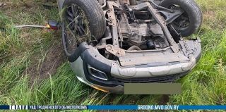 За три дня – 6 ДТП с участием животных: не только лоси и косули, но и барсуки. Вчера под Гродно в кювет вылетел таксист