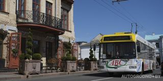 В Минске раздадут 300 тысяч льготных проездных бесплатно – для чего?