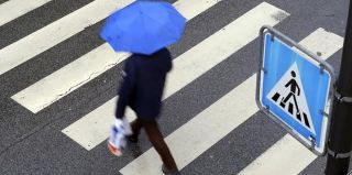 Всего 2 вещи надо помнить каждому пешеходу и водителю. О них рассказали в ГАИ