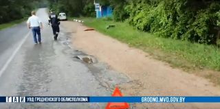 У Бали Сольной утром сбили косулю. В ГАИ Гродно водителям кое о чем напомнили