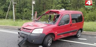 Лось выбежал на трассу М6: с переломами госпитализирован парень, который ехал в качестве пассажира