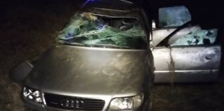 Водитель уезжал от лидских пограничников и попал в аварию. Ему было что скрывать