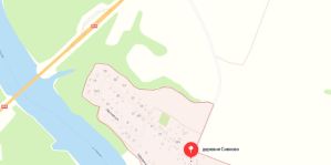 На М6 под Гродно не справился с управлением мотоциклист. Говорит, дорогу перебегала собака