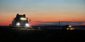 Осилит ли девушка управление комбайном массой 17 тонн? А ночью? Журналистка поучаствовала в ночной жатве