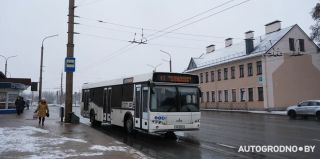 Проезд в общественном транспорте в Гродно 26 января будет бесплатным для всех