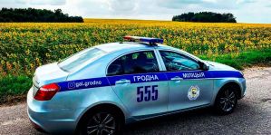 68 пешеходов привлекли к ответственности за 1 день. А сколько водителей?