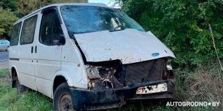 В пригороде Гродно девушка на Ford врезалась в дерево