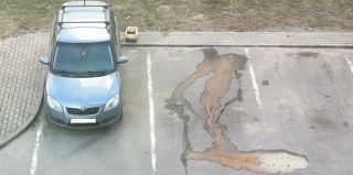 Сосед разлил моторное масло на асфальт. Предусмотрена ли за это ответственность в РБ?