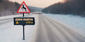 В Беларуси появился новый вид дорожных датчиков. Что они фиксируют?