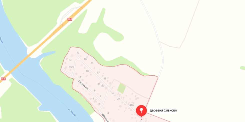 На М6 под Гродно не справился с управлением мотоциклист. Говорит, дорогу перебегала собака