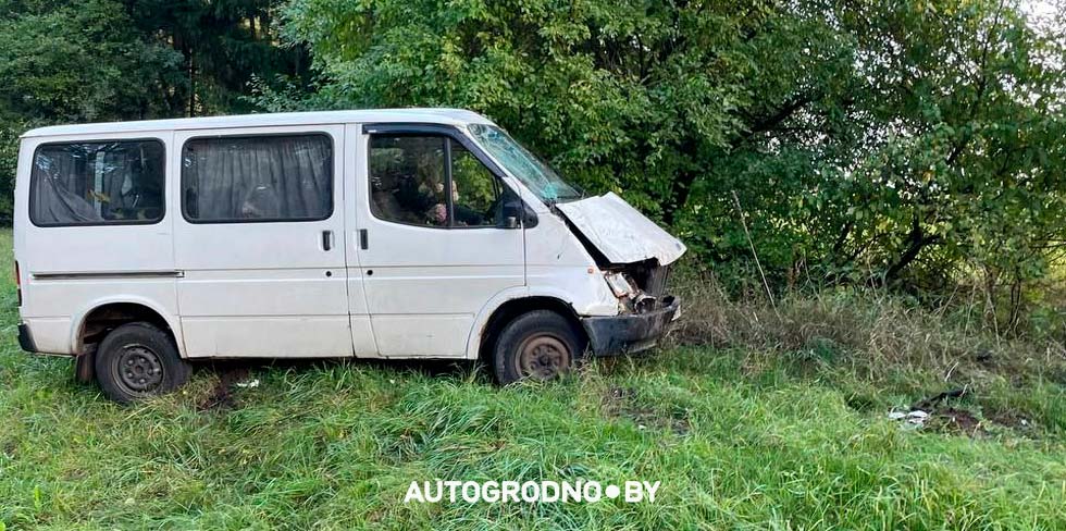 У поворота на Погораны девушка на Ford врезалась в дерево