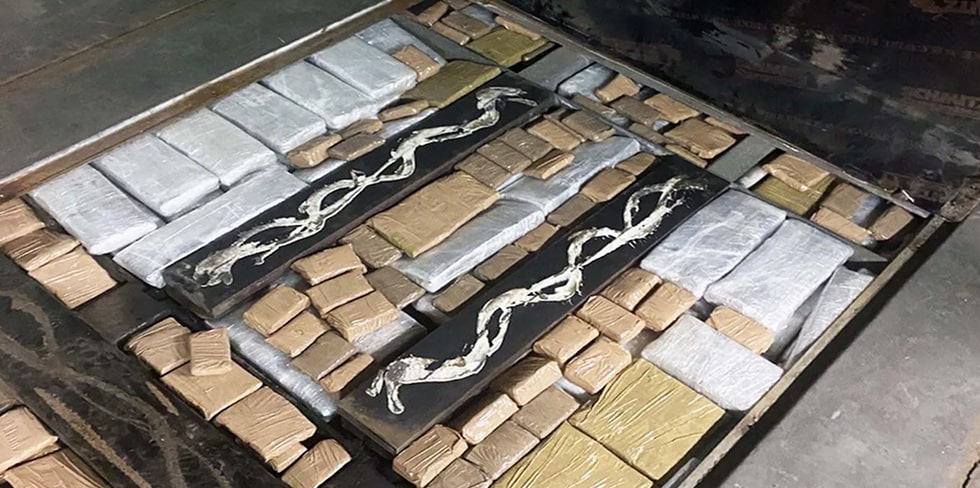 Найти 154 кг гашиша гродненским таможенникам помогла собака. Россиянину грозит 10 лет