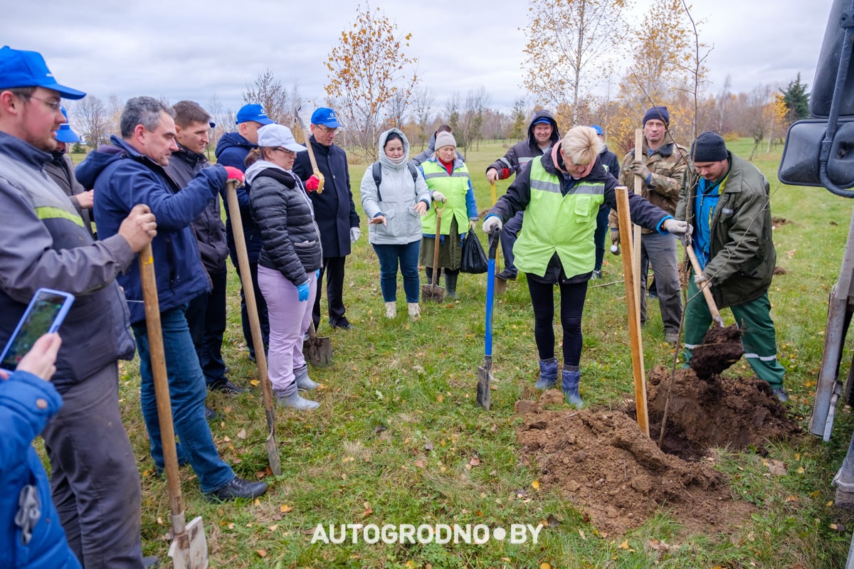 primer grodnoavtoserwice