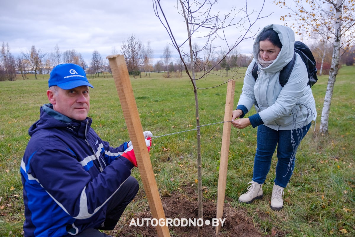 primer grodnoavtoserwice