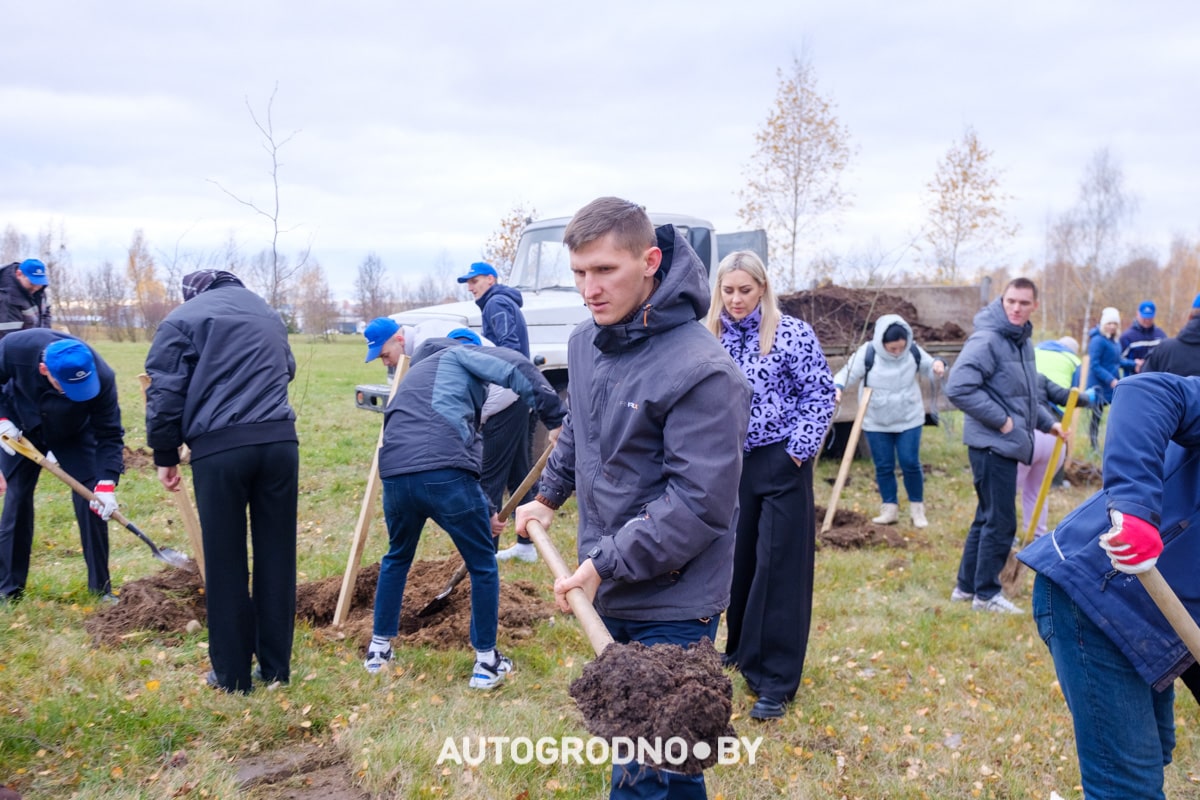 primer grodnoavtoserwice