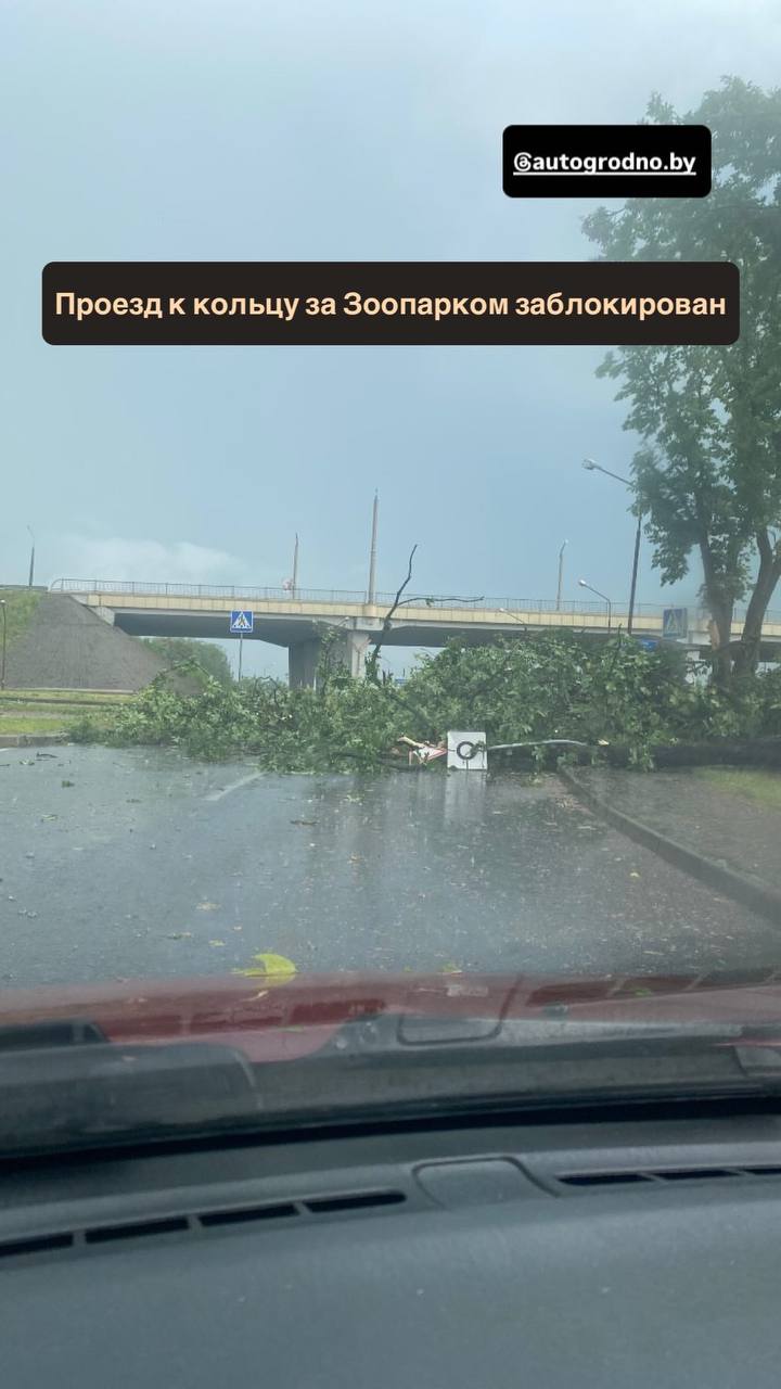 derevja 05 06 03