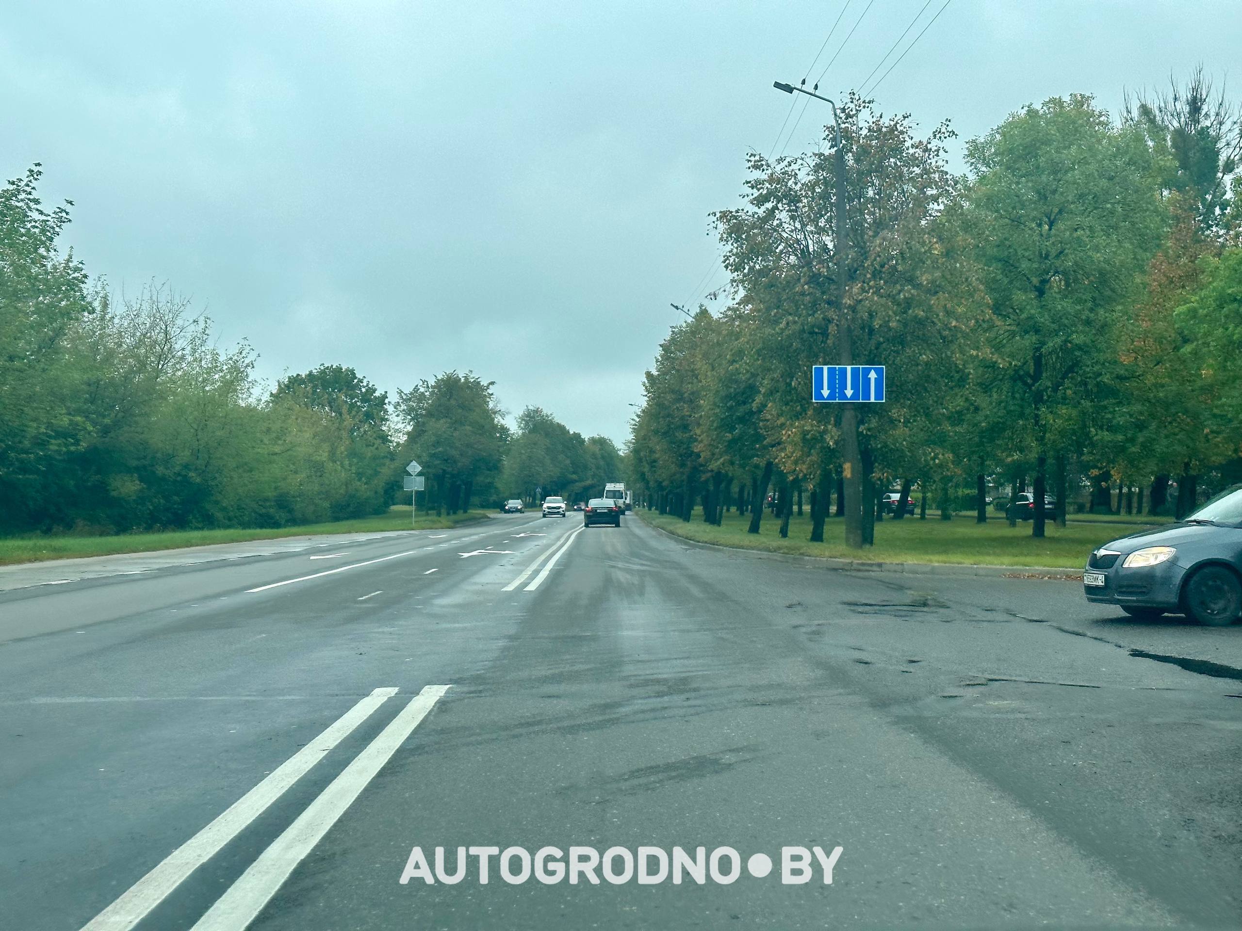 dombr razmetka 15