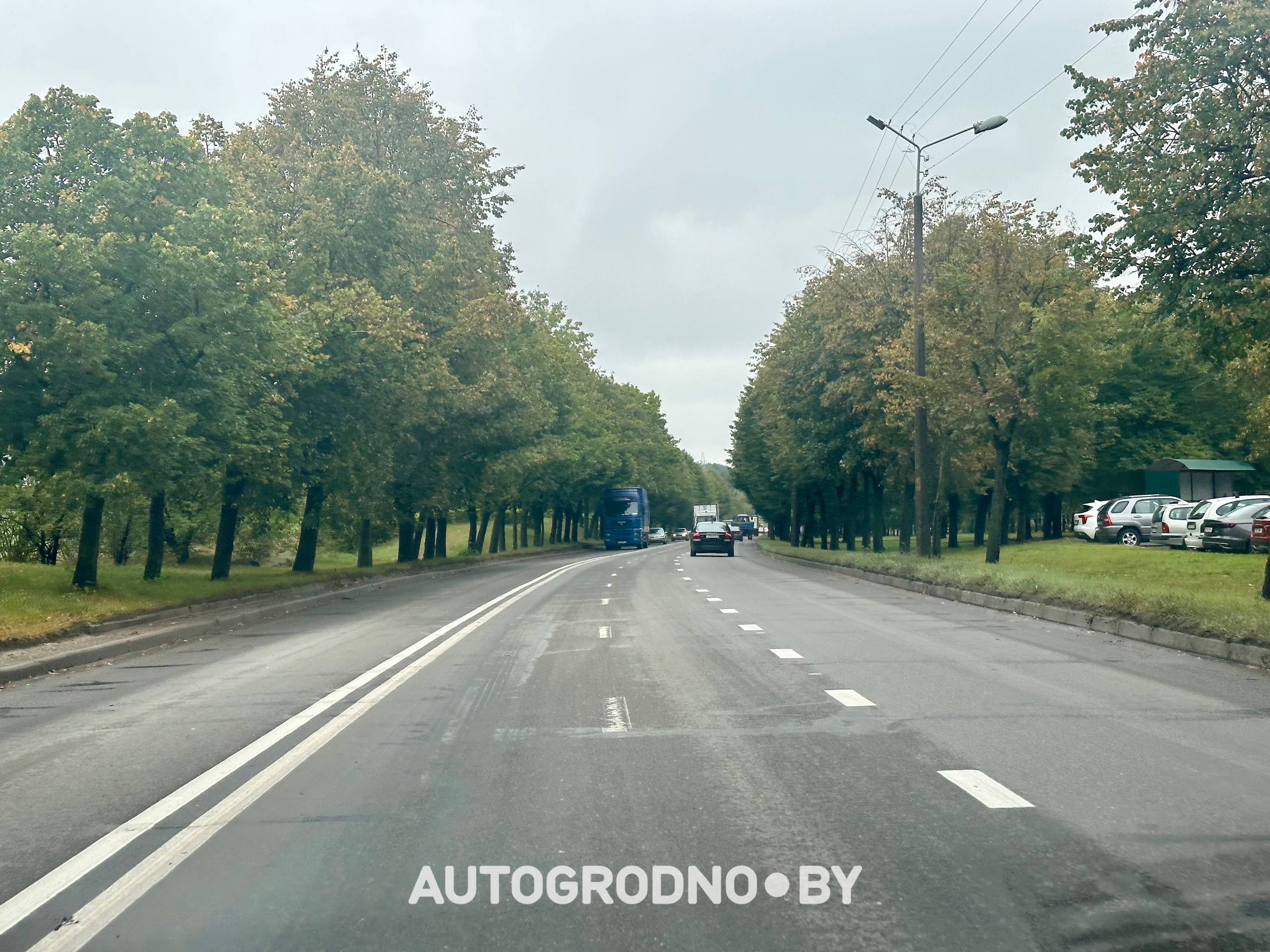 dombr razmetka 18