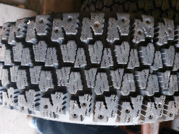 belshina godnost vopros 01