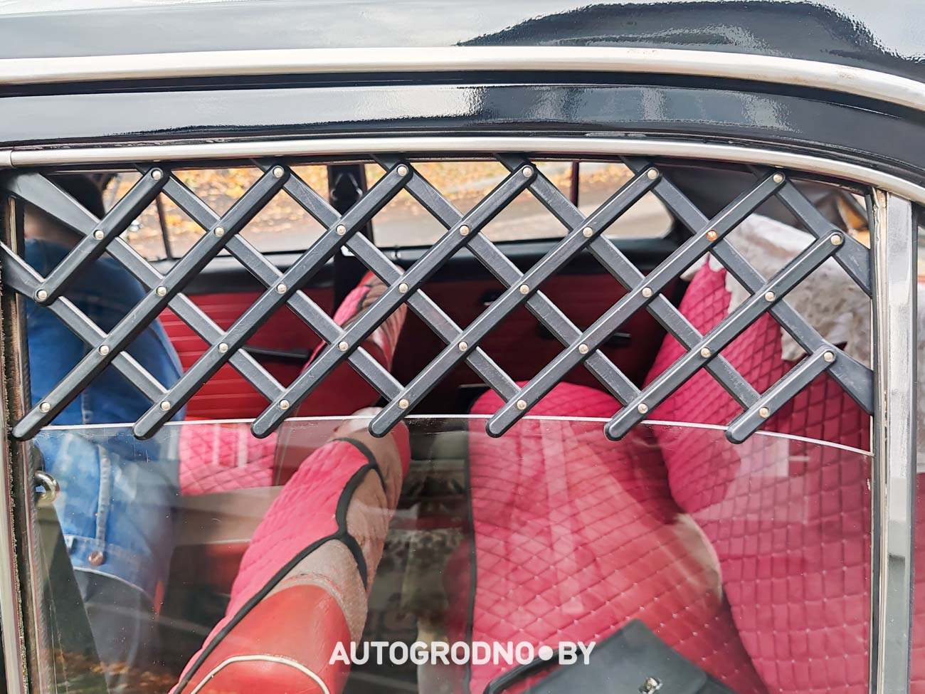 В Гродно восстановили ВОЛГУ ГАЗ 24