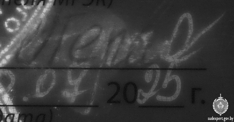 gruppa invalidnosti izmenil 01