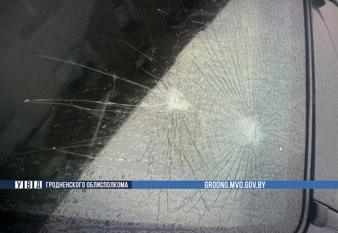 oshmjany renault butylka 01