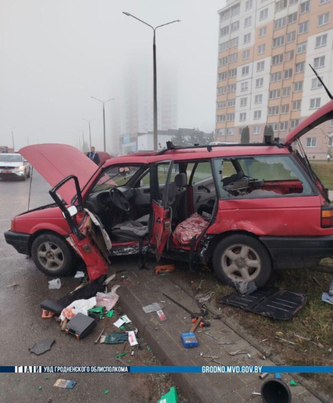 bel rosy 19 12 dtp 01