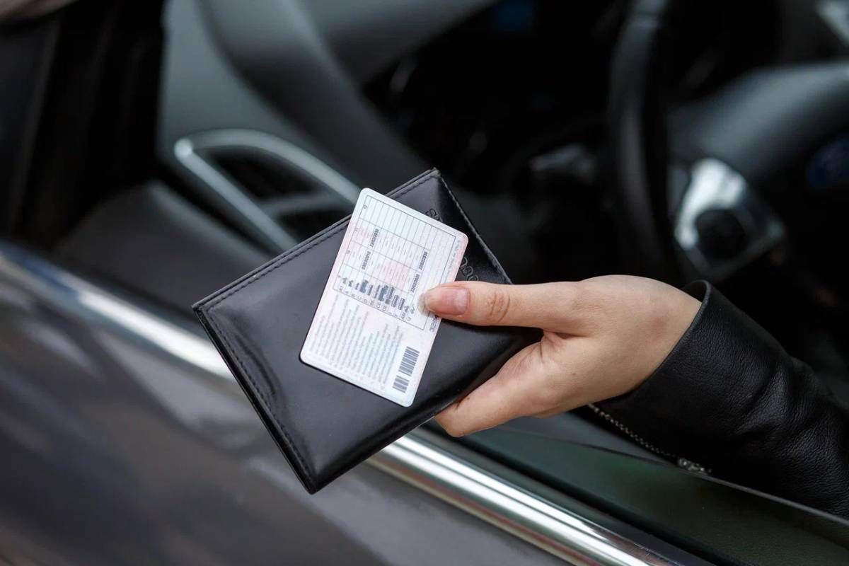 lesnoe hoz prava studentam 01