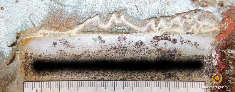 vin mogiljov experty 01