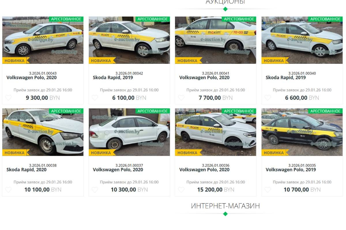 maxim razgon torgi 01