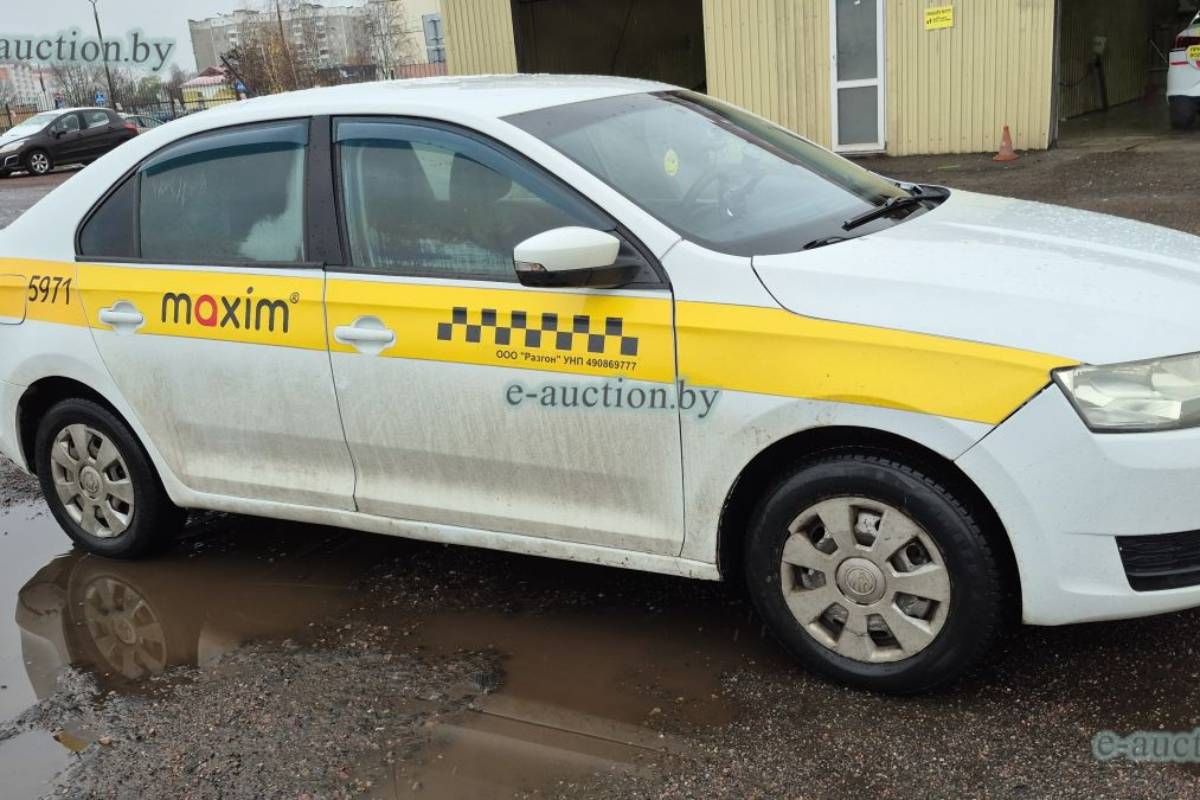 maxim razgon torgi 01