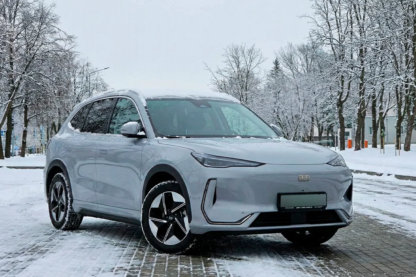 elektro zima chigir 01