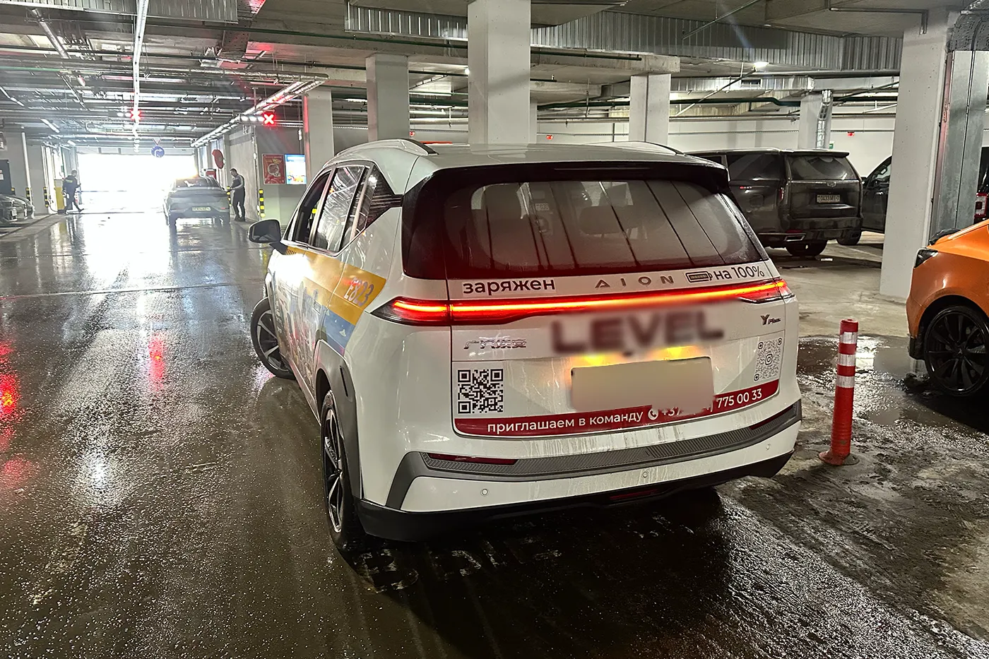 elektro zima chigir 01