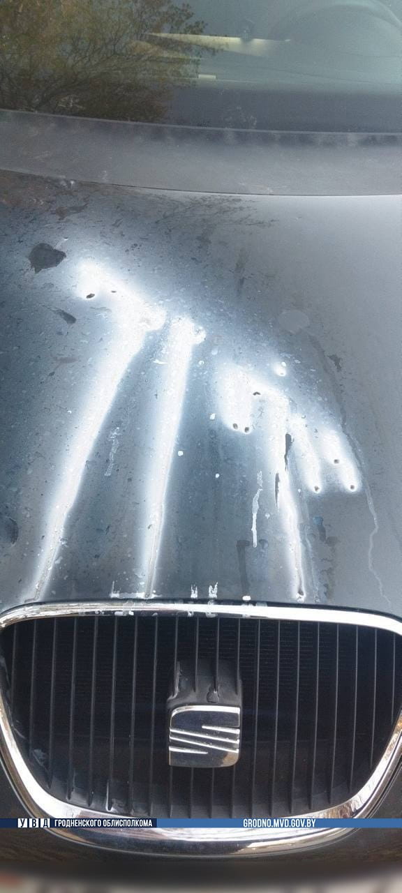 stroitelej klej reshenie 01